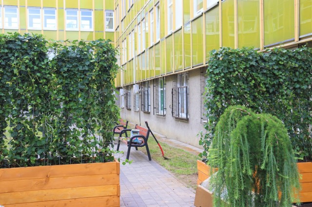 Na terenie gorzowskiego szpitala powstał zielony ogród.