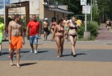 Pogoria III: nad jeziorem lato w pełni. Plaża, bikini i woda [ZDJĘCIA]