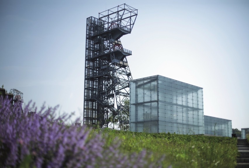 „Rozpocznij od kultury” z Muzeum Śląskim 