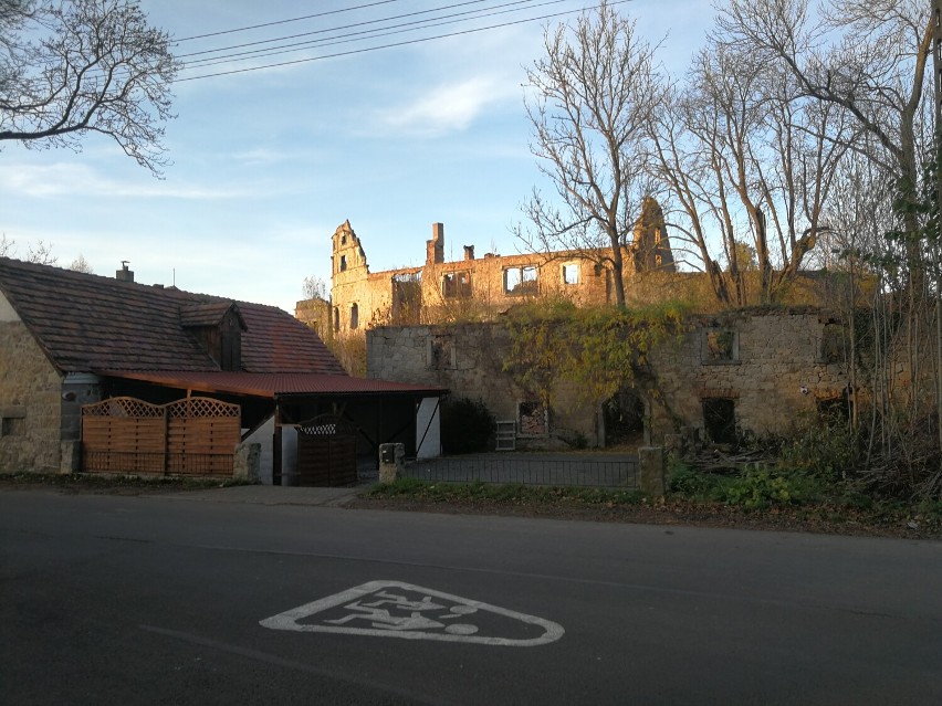 Ruiny pałacu. Zdjęcie z drogi