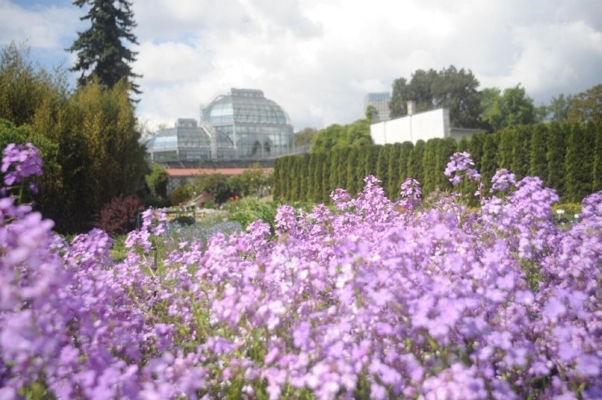 Ogród Botaniczny Uniwersytetu Jagiellońskiego w Krakowie...