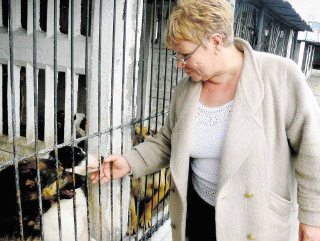 Mieczysława Goździk przejęła opiekę nad zwierzętami w schronisku