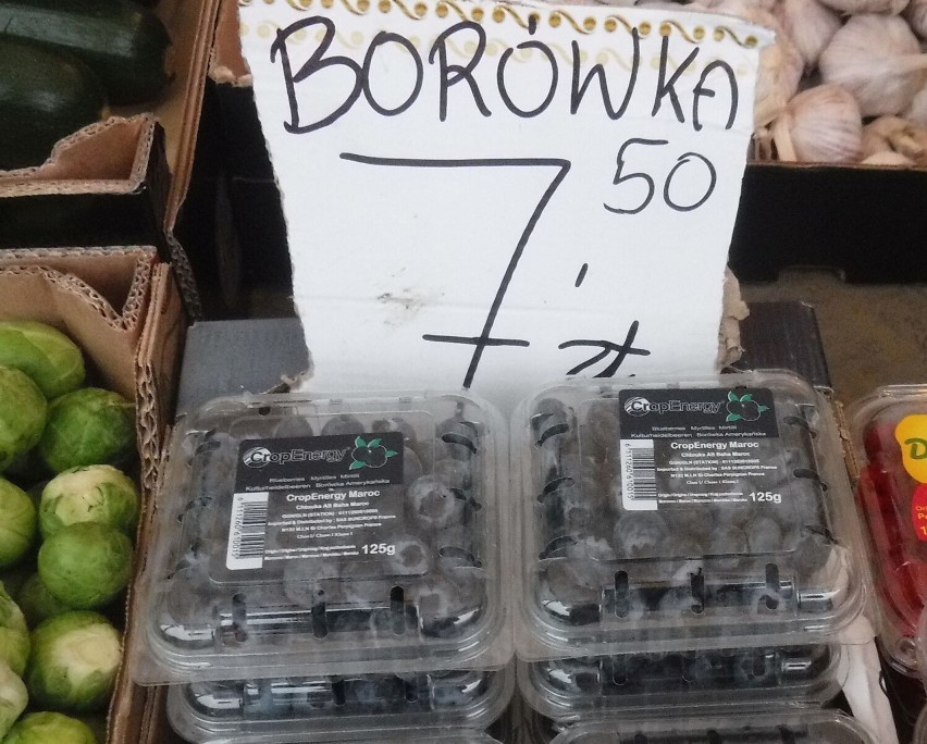 Borówka 7,50 za pojemnik