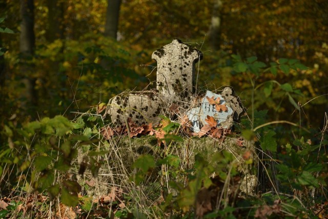 Stare i zapomniane cmentarze w Sępólnie, Więcborku i Trzcianach