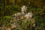 1 listopada. Zapomniane cmentarze w Sępólnie, Więcborku i Trzcianach. Zobacz zdjęcia