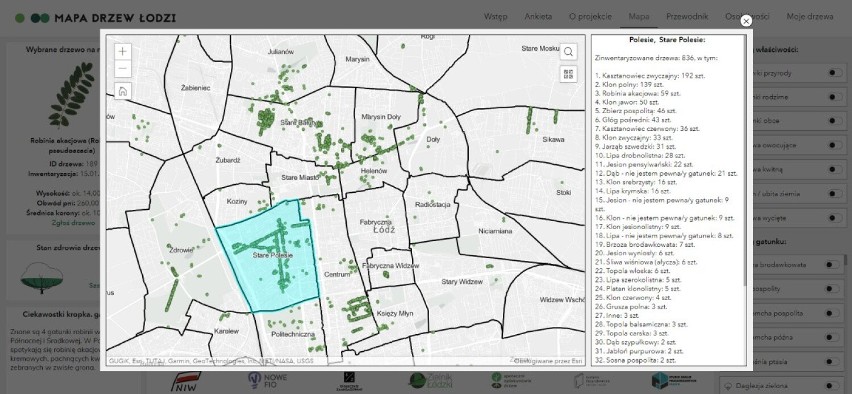 Łodzianie poczuli ducha rywalizacji, a wszystko to za sprawą Mapy Drzew Łodzi. O pierwsze miejsce walczą Stare Bałuty i Stare Polesie 