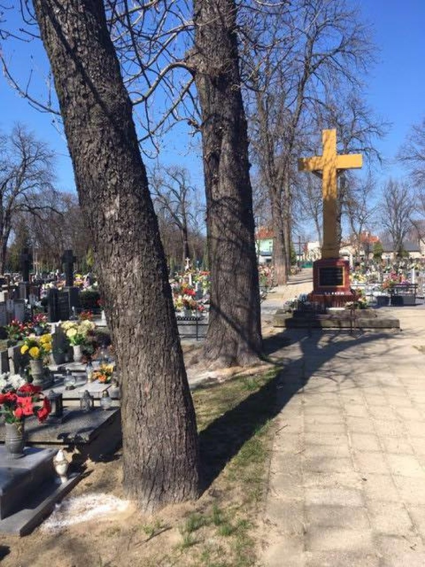 Sól na cmentarzu parafialnym w Lublińcu. - Była przykryta...