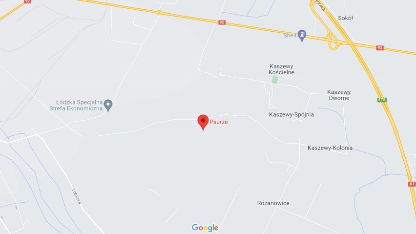 Wieś Psurze należy do gminy Krzyżanów. W Psurzu urodził się...