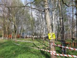 Na Muchowcu trwa budowa parku linowego ZDJĘCIA