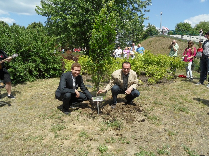 Prezydent posadził Stokrotkę T. Love w ramach trwającego Dnia Samorządu Terytorialnego