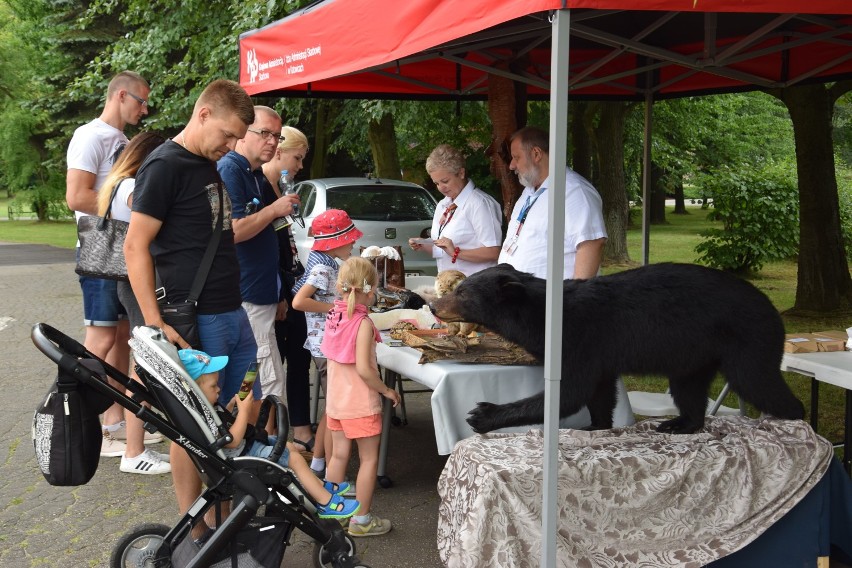 Pamiątki przywożone przez Polaków z egzotycznych wakacji