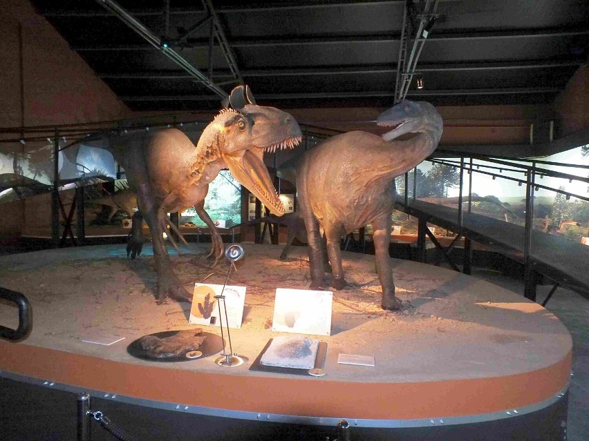 Otwarcie wystawy paleontologicznej w starachowickim muzeum