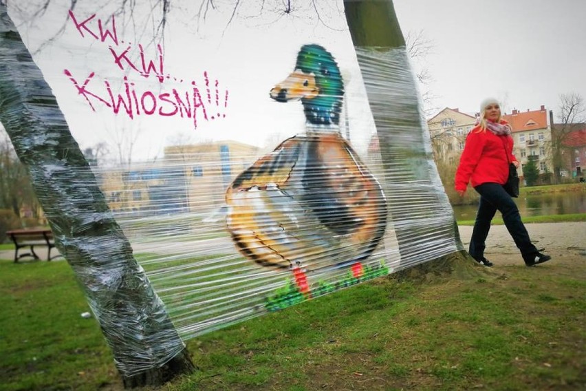 GORZÓW WIELKOPOLSKI. Pierwszy dzień wiosny w Gorzowie. Artyści przywołują wiosnę w mieście [ZDJĘCIA]