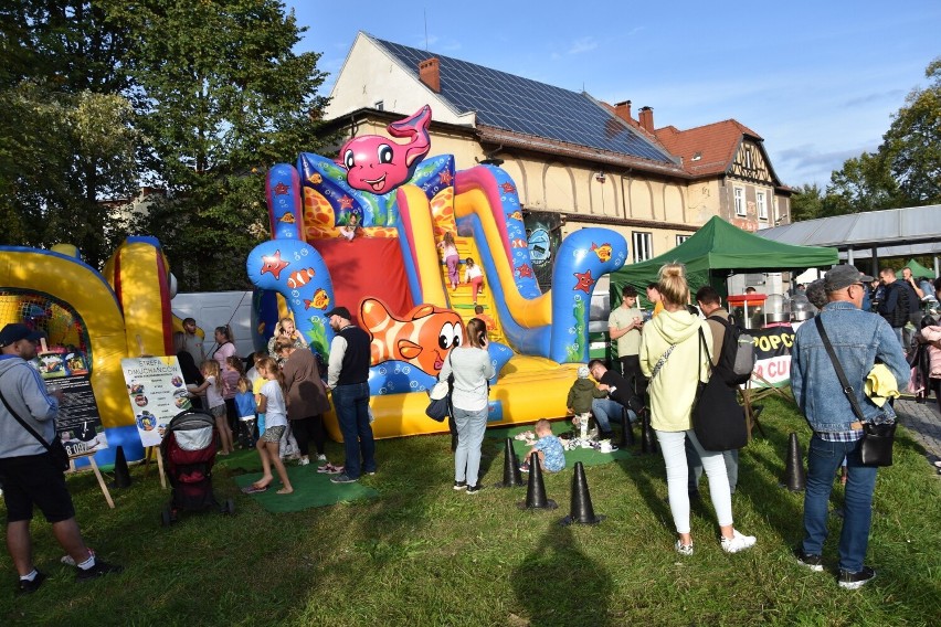 Piknik Rodzinny w Knurowie - edukacja, zabawa, muzyka