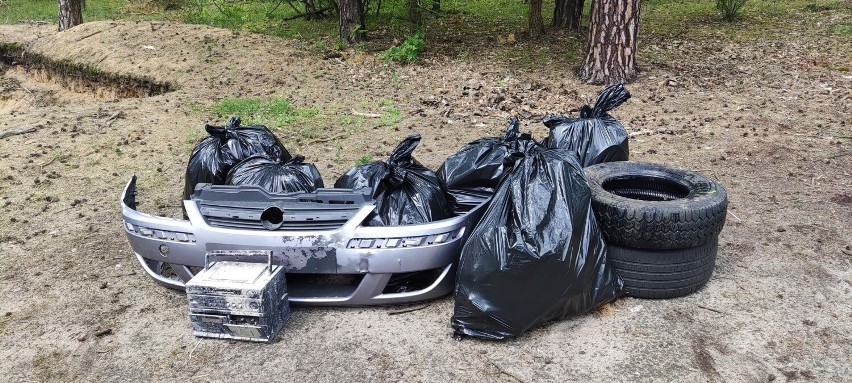 Sprzątanie lasu w rejonie ulic Wieniecka i Lisek we...