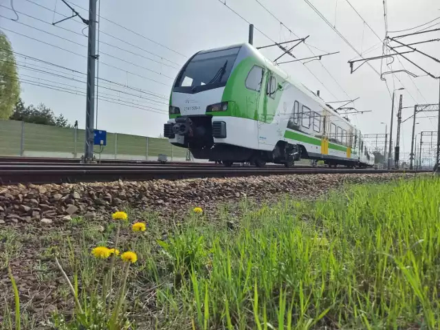 Koleje Mazowieckie zachęcają do podróżowania pociągami podczas długiego weekendu majowego. Przewoźnik poinformował, że przedłużył ważność funkcjonowania biletu wycieczkowego.