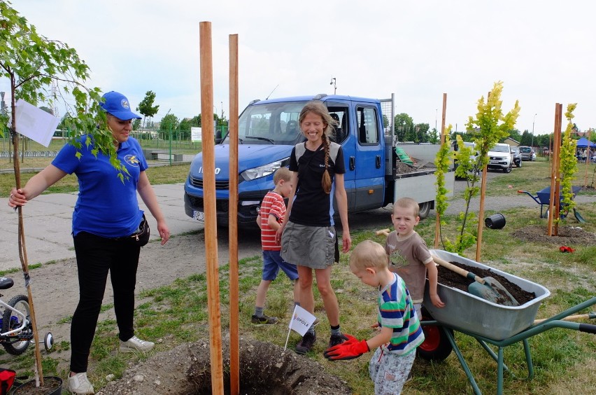 Akcja sadzenia drzew liściastych na osiedlu AK rozpoczęła...