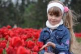 XI Międzynarodowe Targi Tulipanów: Jerzy Smorawiński nowym tulipanem w Chrzypsku Wielkim [ZDJĘCIA]
