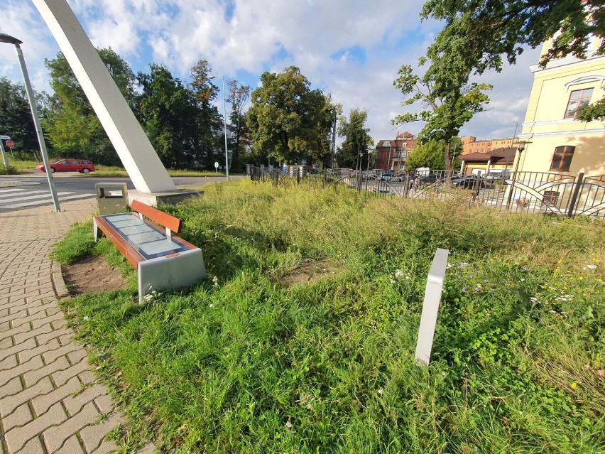 Skwer przy pomniku szybowca w Lesznie  -1 września 2021
