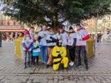 Świąteczna choinka rozbłysła na Rynku Głównym w Krakowie. Są tam wolontariusze Mai!