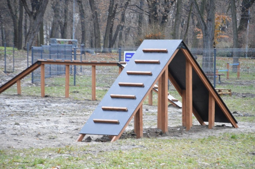 Kończą budowę pierwszego wybiegu dla psów w Głogowie [ZDJĘCIA]
