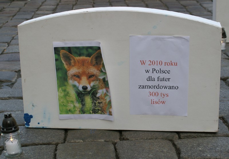 Protest przeciwko hodowli zwierząt futerkowych [ZDJĘCIA]