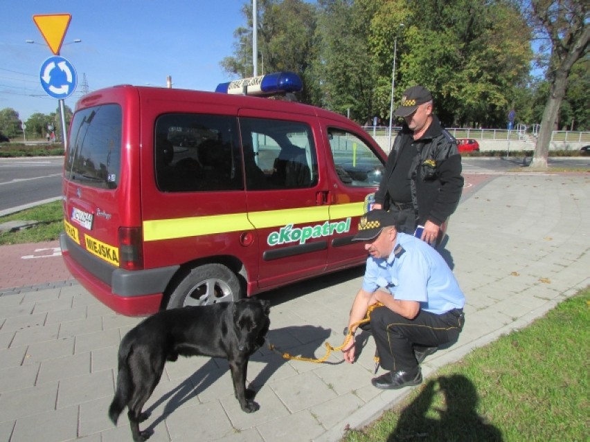 Strażnicy miejscy z Elbląga pomogli dla psa