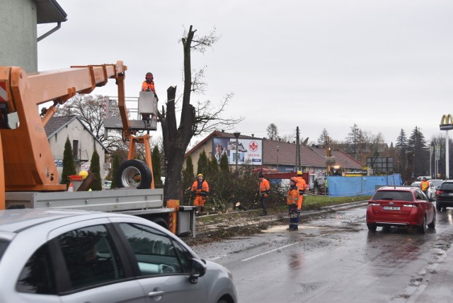 Przez tydzień - do 24 stycznia na ulicy Szkotnik prowadzone będą prace przygotowawcze do przebudowy ulicy. Polegają one na wycince drzew i wyburzeniach. Ruch odbywa się wahadłowo