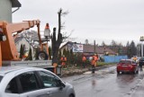 Tarnów. Wycinają drzewa i burzą budynki przy ulicy Szkotnik. Ruszyły przygotowania do przebudowy ważnej drogi. Kierowców czekają utrudnienia