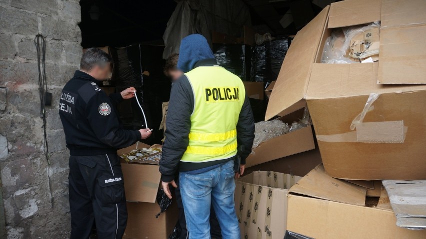 Markowice: Nielegalny tytoń na jednej z posesji. Jej właściciel ma już zarzuty i został tymczasowo aresztowany [ZDJĘCIA]