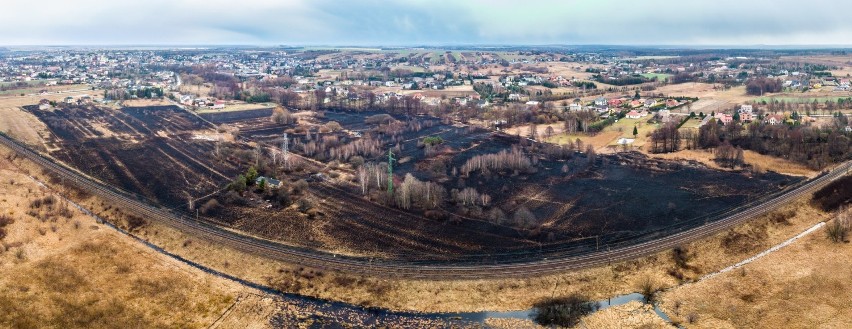 Jedną trzecią wszystkich pożarów w Polsce stanowią pożary...