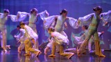 Premiera znakomitego spektaklu Teatru Tańca Arabeska w Zduńskiej Woli ZDJĘCIA