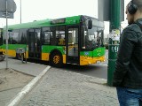 Poznań: Autobusy linii T9 od 23 kwietnia będą jeździły częściej