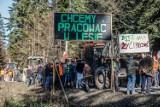 Samorządowa Inicjatywa Obrony Polskich Lasów w Bieszczadach i na Pogórzu Przemyskim