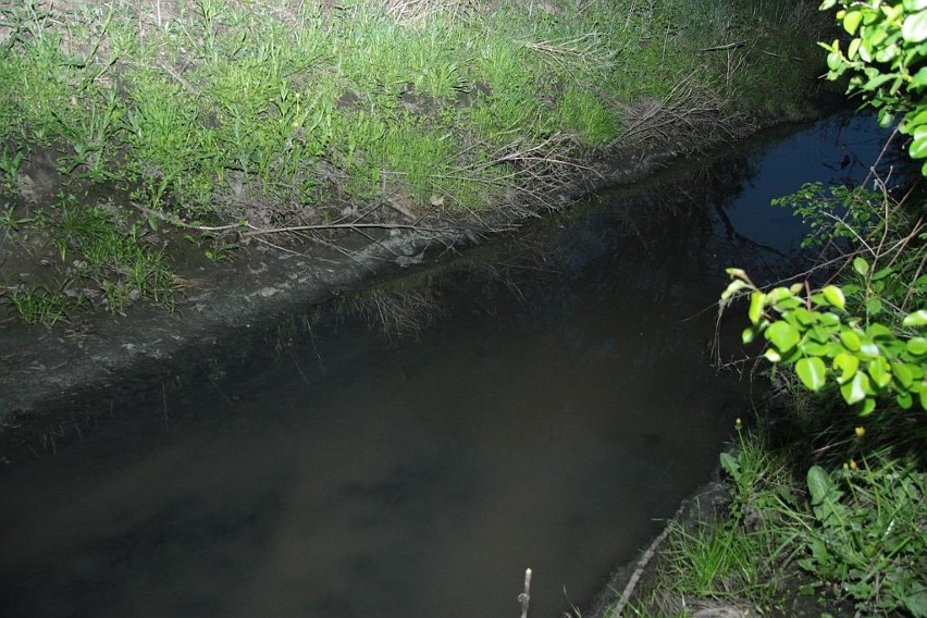 Skąd do rowów spływa krew? Mieszkańcy ulicy Bahaterów Walk nad Bzurą są zbulwersowani [FOTO]