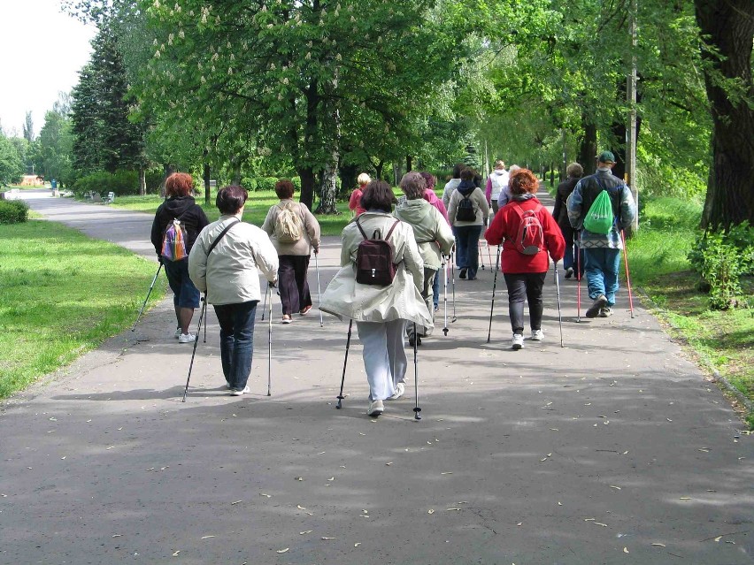 Sosnowieckie Senioralia 2012, czyli fitness i tańce seniorów w Parku Sieleckim