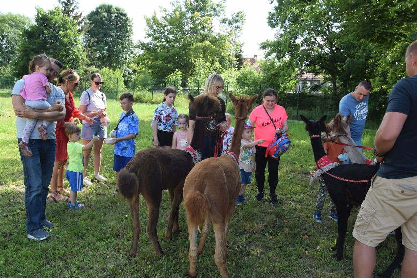 Piknik familijny w Szczecinku. Świetna zabawa w gronie najbliższych [zdjęcia]