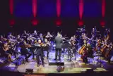 Brave Festival: syryjska orkiestra zachwyciła publiczność