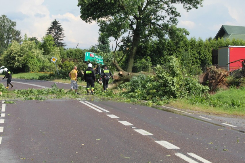 Nawałnica w Zamościu i gminach Sitno i Miączyn. Wiatr przewracał drzewa i budynki, zrywał dachy. Zobacz zdjęcia