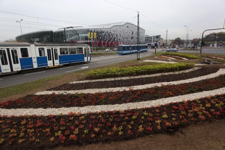 Kraków: przy rondzie Grunwaldzkim zasadzono 9,5 tys. krzewów [ZDJĘCIA]