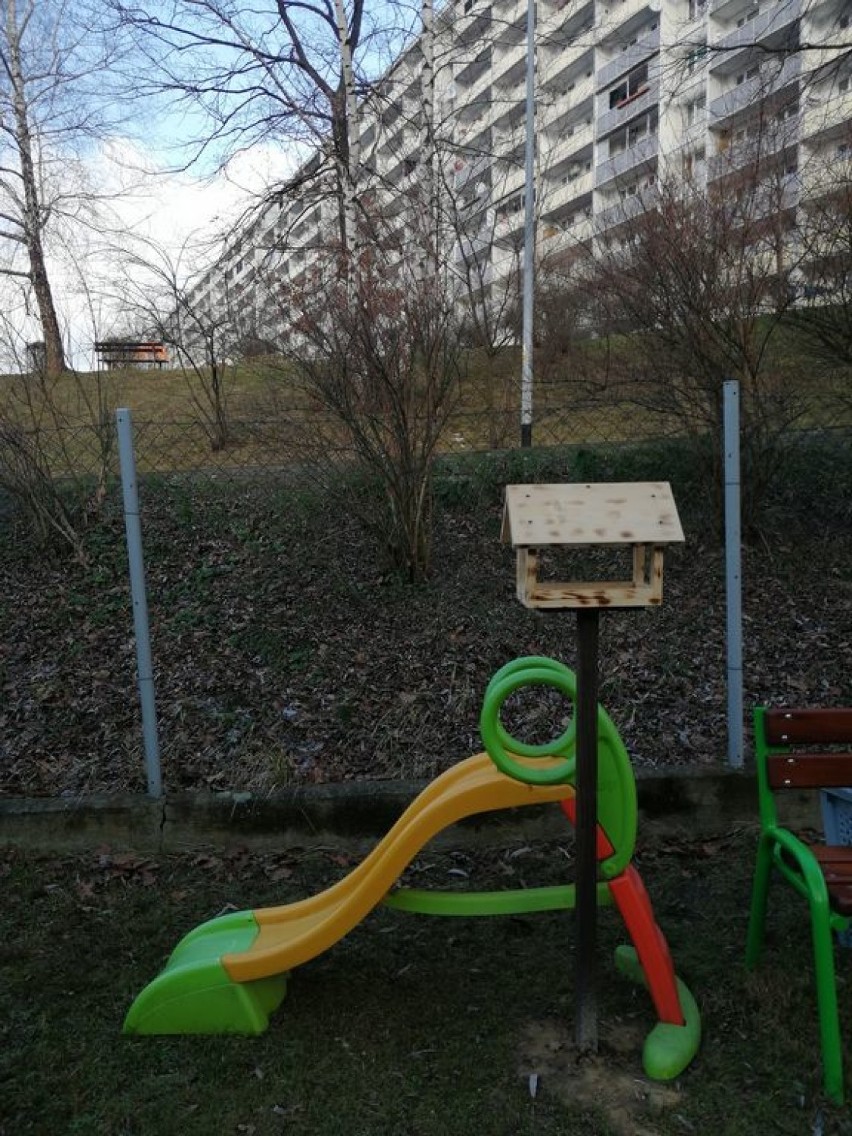 Jastrzębie-Zdrój: karmniki dla ptaków pojawiły się przy kilkunastu przedszkolach. Pomogą przetrwać ptakom zimę
