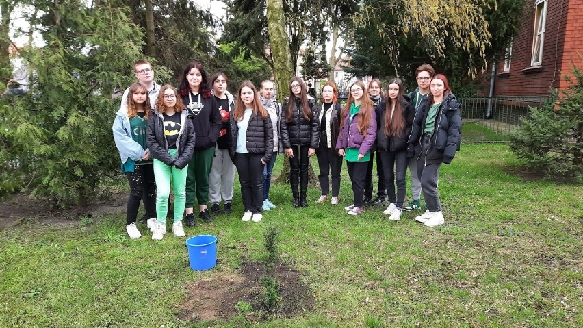 Licealiści posadzili kolejne drzewo w ramach Międzynarodowego Dnia Ziemi