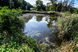 Bydgoszcz. Wielka dziura w ziemi zamiast Nordic Astrum. Jest nowy inwestor, ale na razie teren to ostoja żab [zdjęcia]