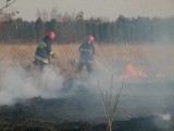 Strażacy z Bytowa gasili płonące nieużytki w Mądrzechowie. Na szczęście nikt nie ucierpiał