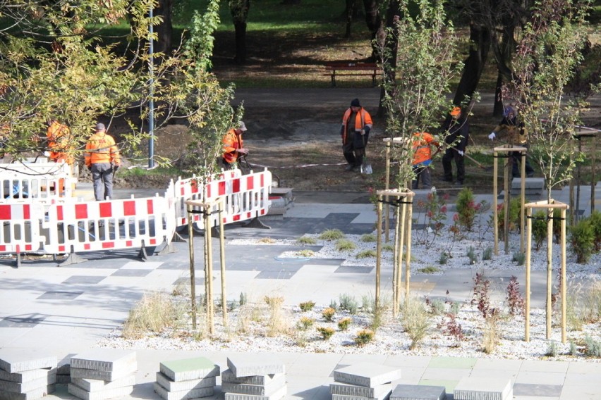 Przebudowa Parku Hallera w Dąbrowie Górniczej ma się...