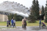 Sobota w Parku Śląskim. Spacer z rodziną lub czworonogiem, jogging i gofry z bitą śmietaną. Aktywny weekend w chorzowskim parku