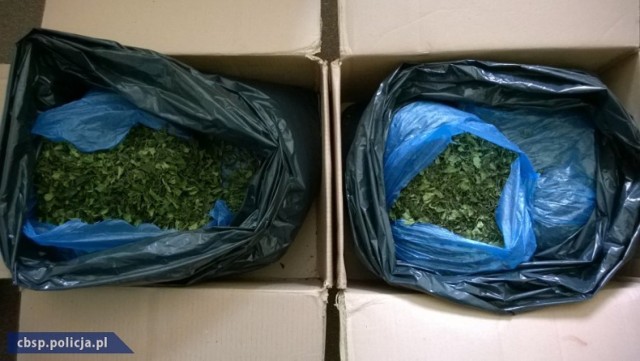 Blisko osiem kilogramów substancji odurzającej KHAT znaleźli policjanci lubelskiego Zarządu Centralnego Biura Śledczego Policji