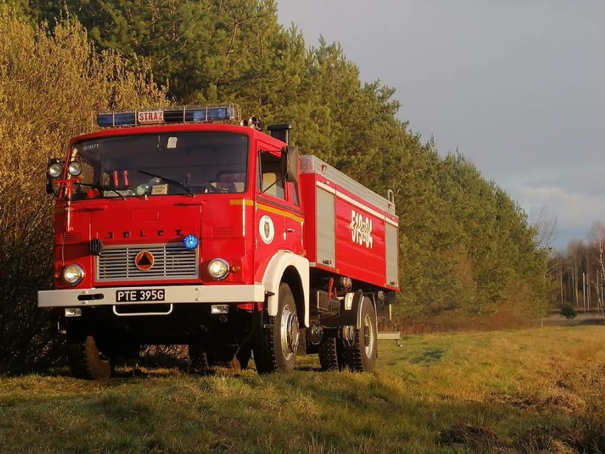 Strażacy z Radomska gasili dwa pożary - poszycia leśnego i śmieci w pustostanie