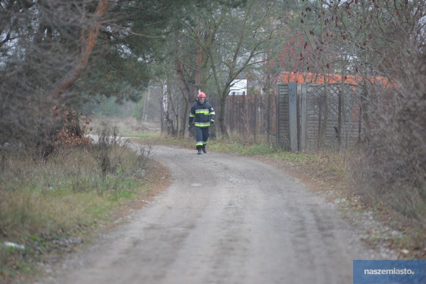 Pożar domu letniskowego przy ulicy Spokojnej we Włocławku [zdjęcia, wideo]