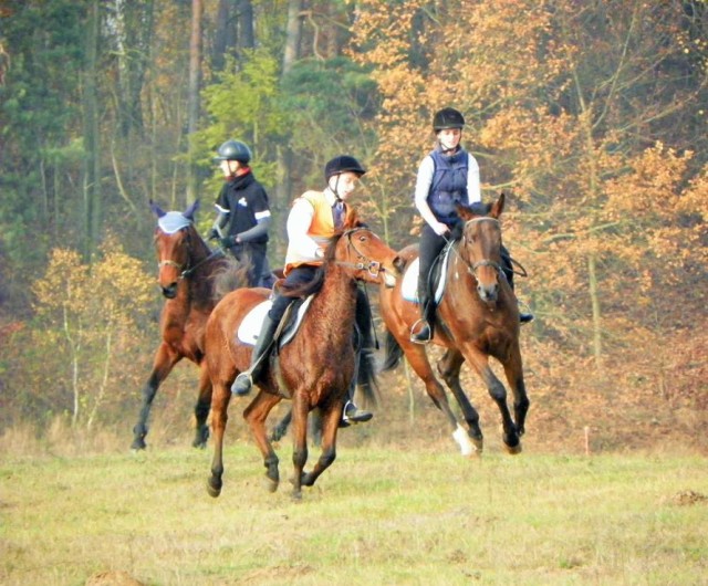 Hubertus w Dźwiersznie Małym